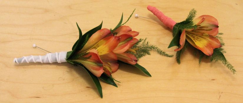 Trump International Alstro Bout 2