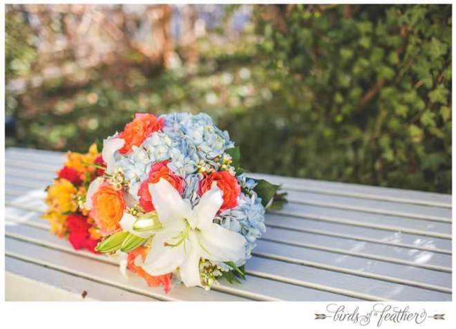 FB_IMG_1423699287442