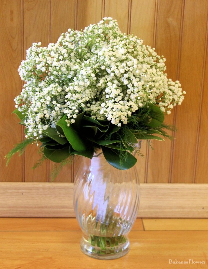 Babies Breath Hand Held