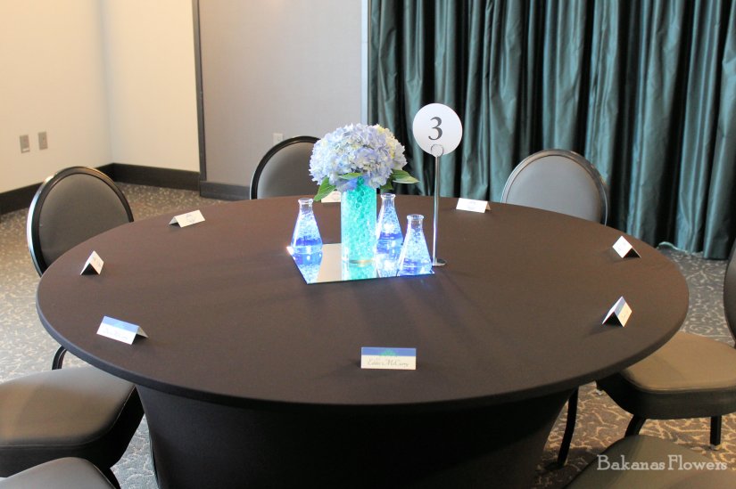 Science Theme Wedding