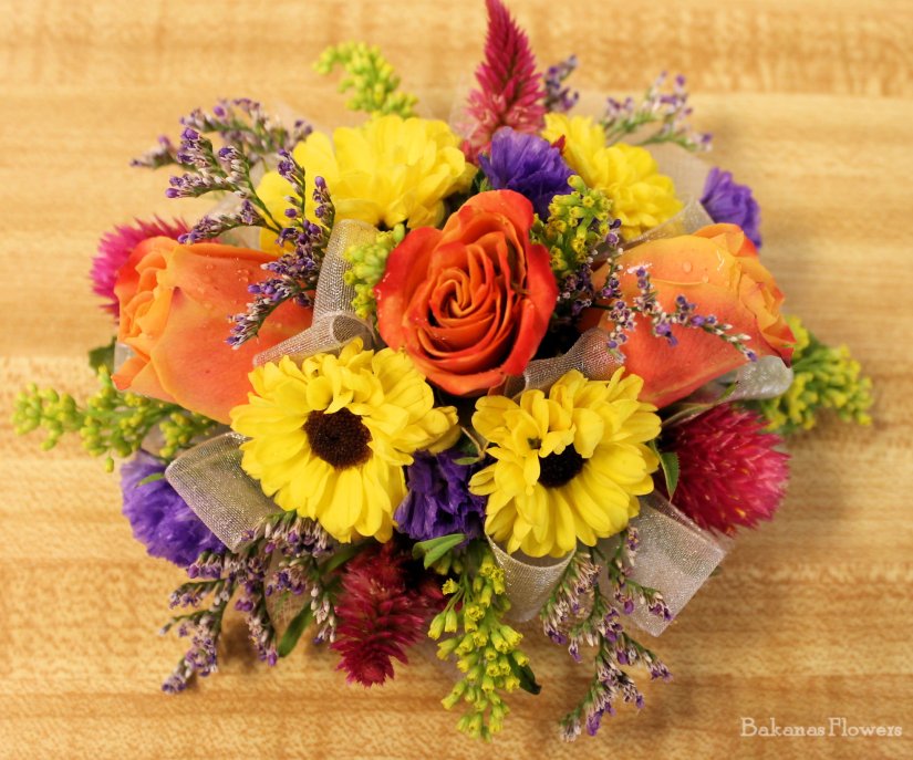 Whitley Anthony Mom 1